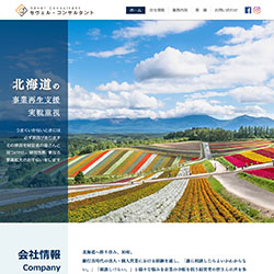 セヴェル・コンサルタント合同会社様